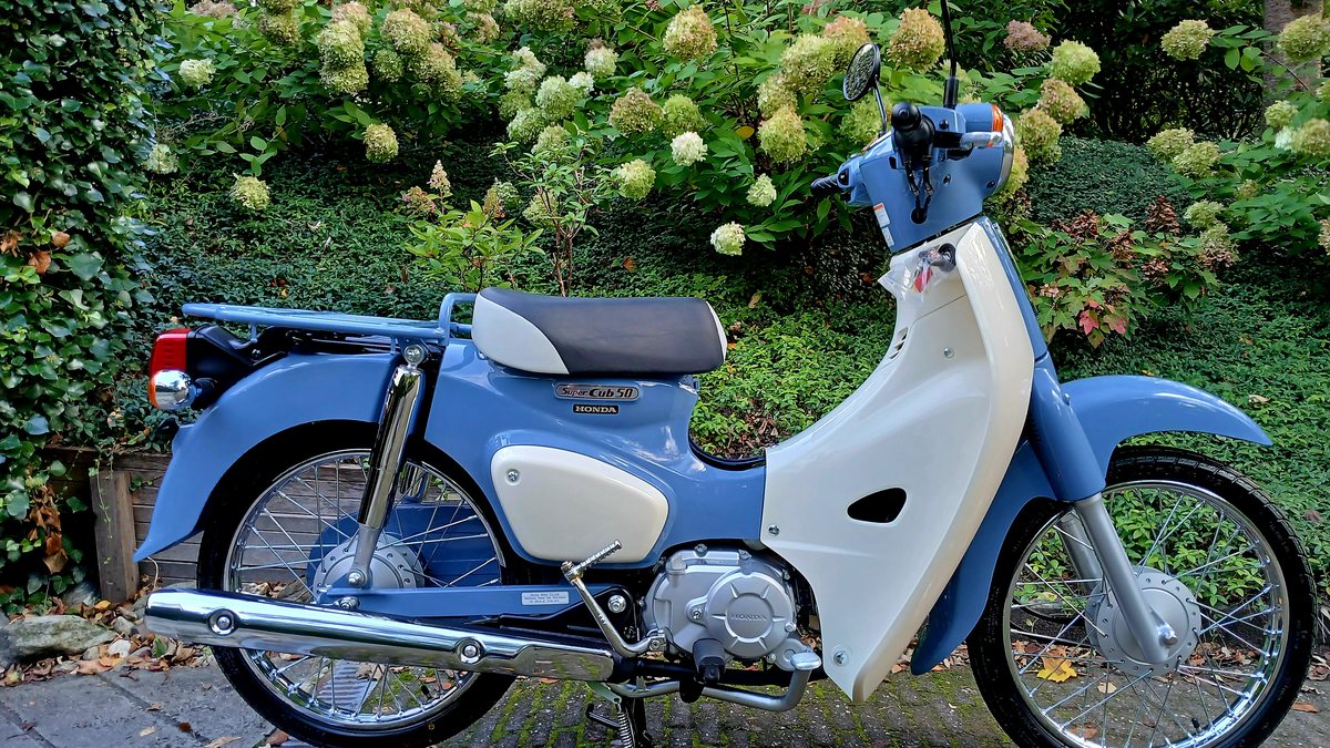 2025 Honda Super Cub Blue Manual, speed in Zeist, Netherlands