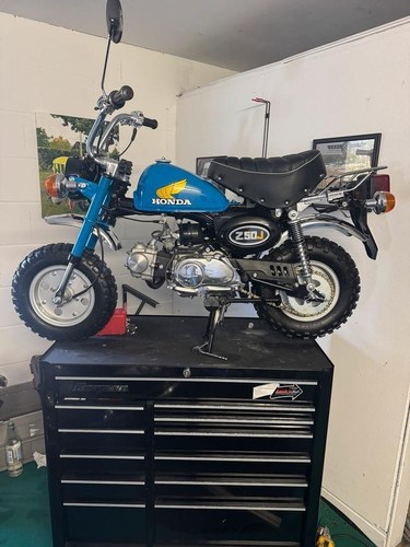 1985 Honda Monkey 50 À venda