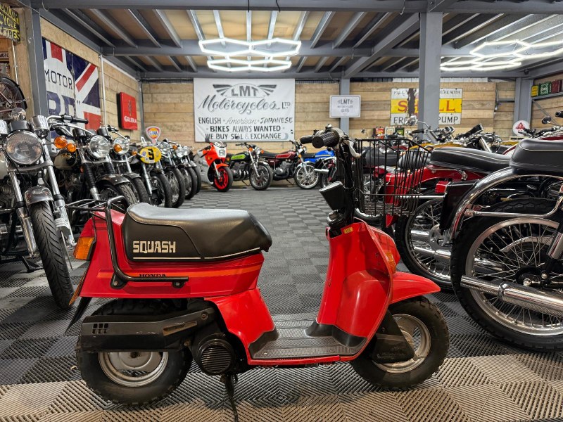 1981 Honda Squash 50