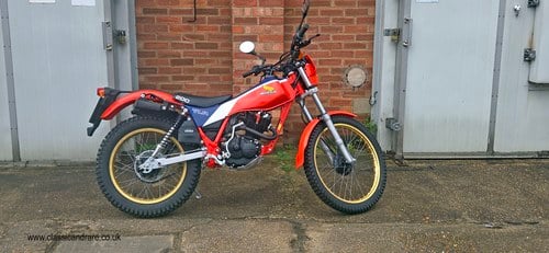 1983 Honda TLR VENDUTO