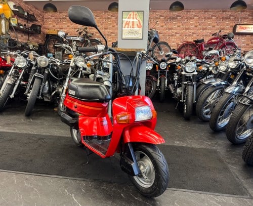 1982 HONDA SQUASH 50 * 2,300KM * MINI BIKE * CLASSIC VERKAUFT