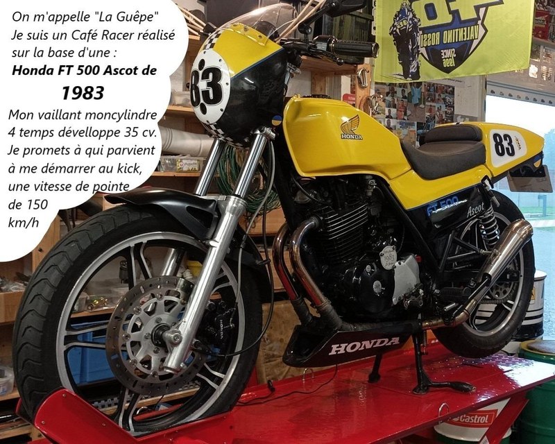 1983 Honda FT - 2 1983 Honda FT - 2