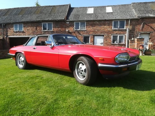 1986 A great opportunity to own this rare Jaguar For Sale