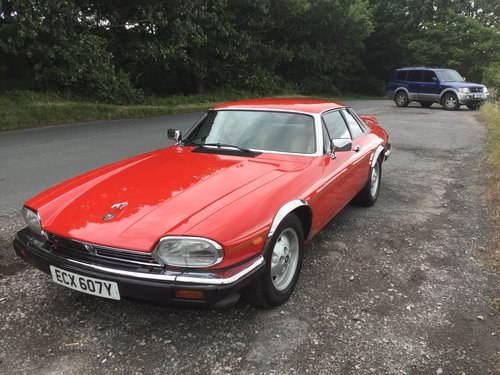 1983 This car is a real head turner,spoil yourself! In vendita