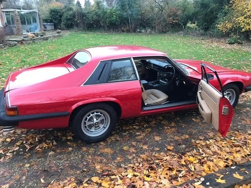 1977 Red Pre HE XJS For Sale