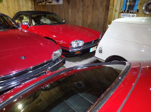 1989 JAGUAR XJS CONVERTIBLE  IMMACULATE EXAMPLES  For Sale