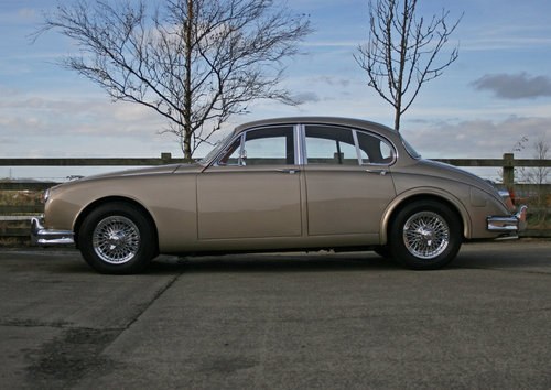 1963 Gorgeous vintage big cat fit for the 21st century (MK2 3.8) In vendita
