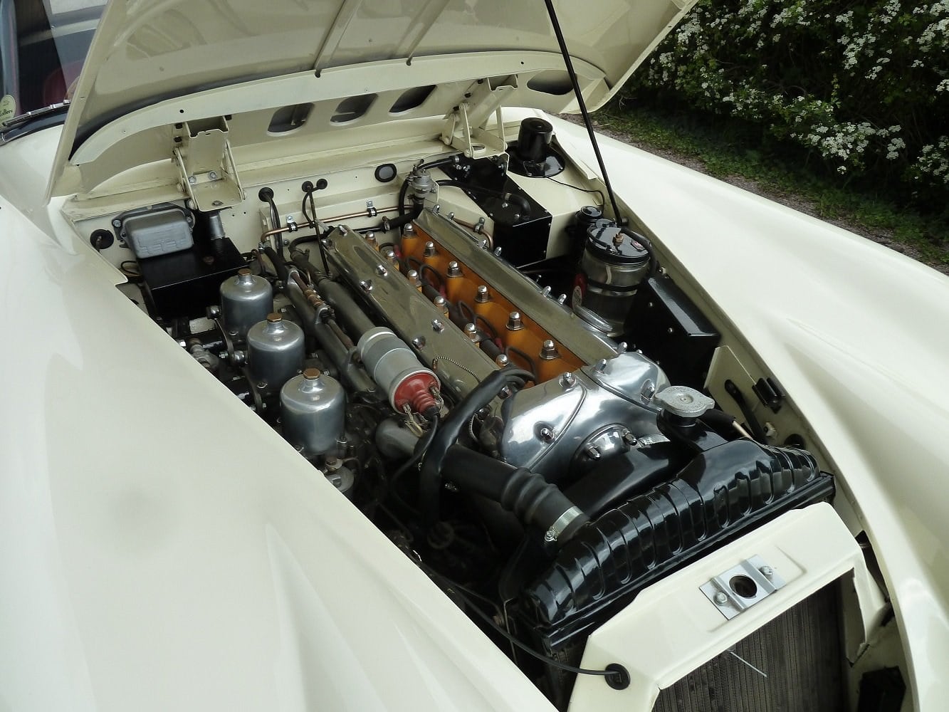 XK150S Roadster 1959, foto 4