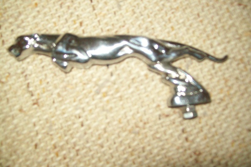 1950 Jaguar mk v AIR CLEANER