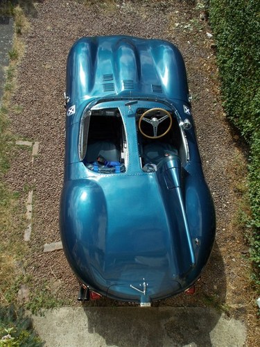 Jaguar D-Type Evocation For Sale