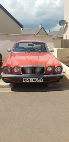 1982 Jaguar XJ12 restoration project For Sale