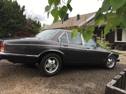 1985 Xj 12 HE 5,3 Sovereign Quite nice shape, LHD For Sale