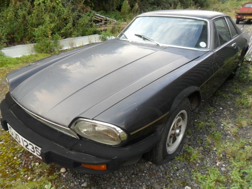 1977 jaguar xjs In vendita