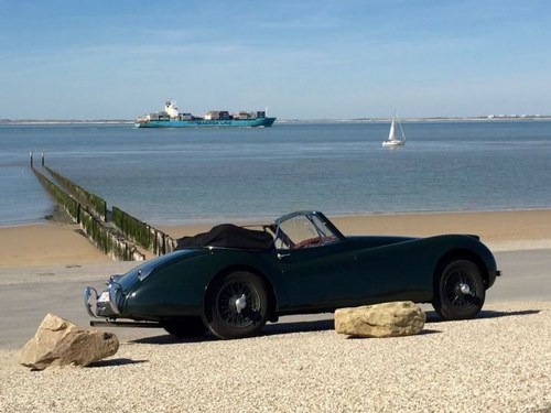 Jaguar XK120 SE DHC LHD - 1953 VENDIDO