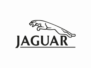 0025 Jaguar's (picture 1 of 1)