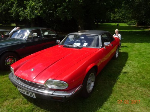 1987 Jaguar cabrio In vendita