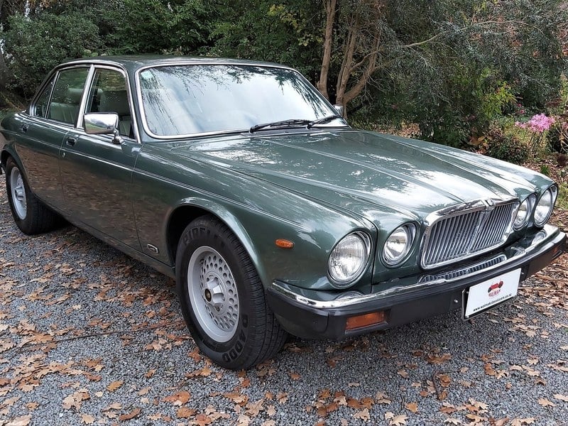 MINT - Low Ownership!