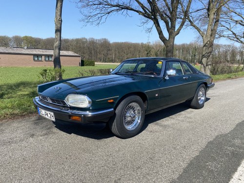 1986 Jaguar XJS 5,3L Coupe | Oldtimerservice Kranz For Sale
