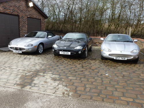 XK8,S XKR,S ALWAYS AVAILABLE COMING AND GOING Kaufen Bei