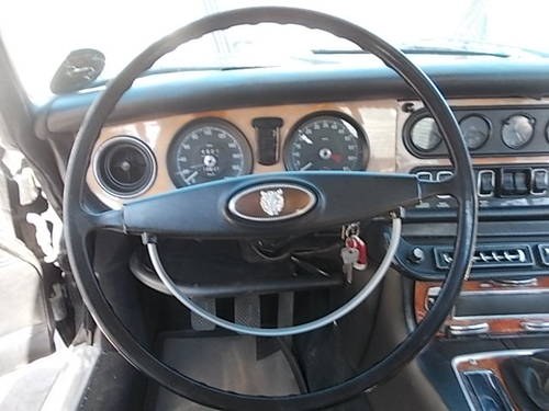 Jaguar Xj6 series 1 steering wheel  For Sale