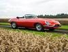 1966 Jaguar E Type Series 1 Convertible For Sale