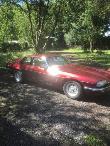 1991 Stunning Jaguar XJS facelift 4.0 Rare in this cond For Sale