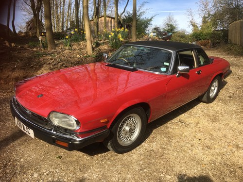 1986 Xjs beautiful example For Sale