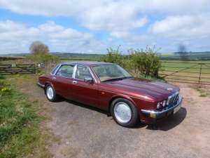 1994 THE UNICORN XJ40, 3.2 GOLD LWB MAJESTIC For Sale (picture 1 of 12)
