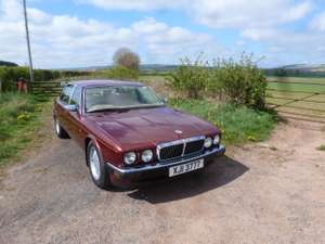 1994 THE UNICORN XJ40, 3.2 GOLD LWB MAJESTIC For Sale (picture 2 of 12)