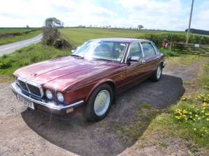 1994 THE UNICORN XJ40, 3.2 GOLD LWB MAJESTIC For Sale (picture 3 of 12)