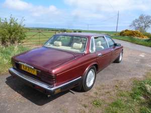 1994 THE UNICORN XJ40, 3.2 GOLD LWB MAJESTIC For Sale (picture 5 of 12)