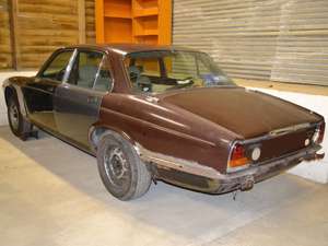 1982 LHD Jaguar 4.2 Series 3 Sovereign For Sale (picture 1 of 8)