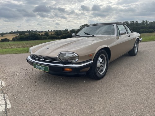 1984 XJS C 3.6 Burberry Special Edition (1of 2) - Super rare For Sale