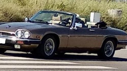 Picture of 1989 jaguar xjs coupe convertible V12 - For Sale