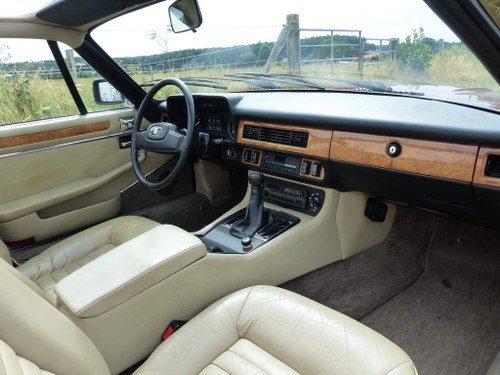 1984 Jaguar XJS - 9