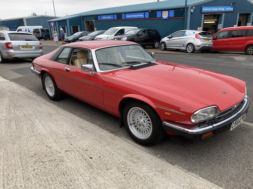 1985 jaguar xjs 5.3 v12 Kaufen Bei