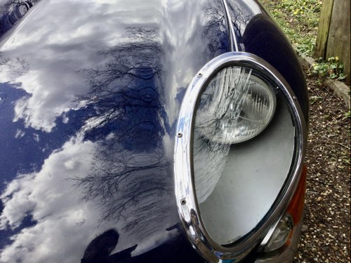 1962 Jaguar E Type 3.8 fhc For Sale