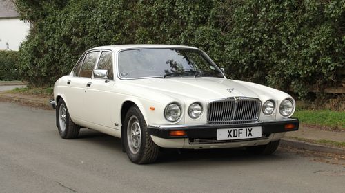 Picture of 1983 Jaguar XJ6 Series III 3.4 Manual - Exceptionally rare - For Sale