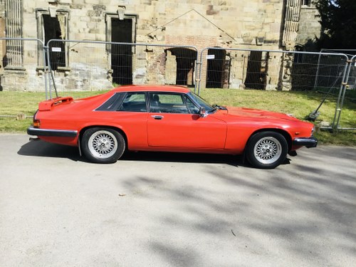 1985 Jaguar Xjs 3.6