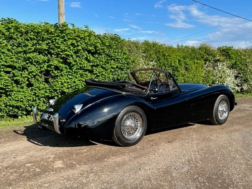 1954 Jaguar