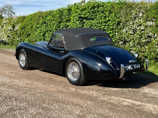 1954 Jaguar - 4