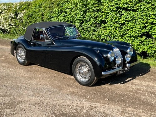 1954 Jaguar - 5