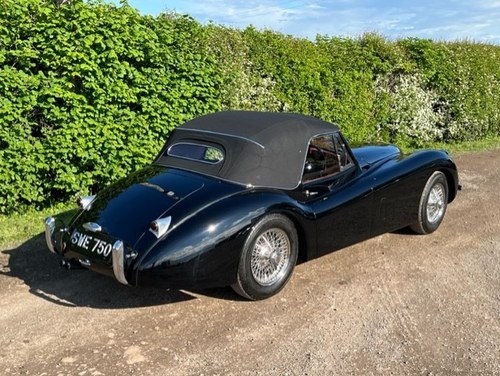 1954 Jaguar - 6