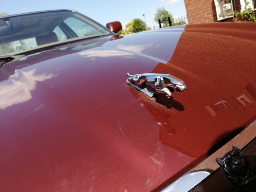 1998 Jaguar Xj8 Auto