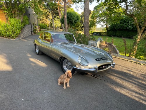 1966 Jaguar 'E' Type