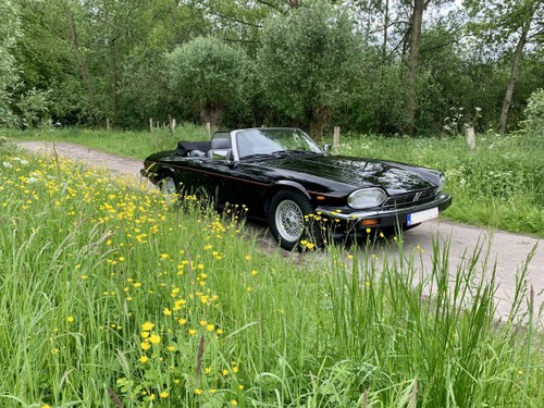 1990 Jaguar Xjs convertible 5.3 V12