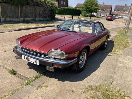 1984 Jaguar Xjs C-3.6