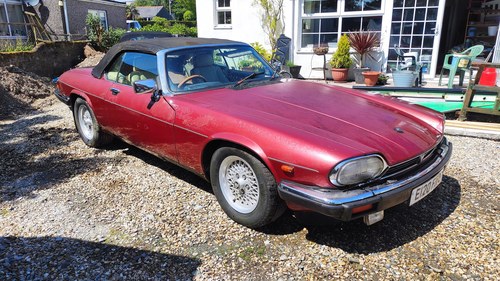 1988 Jaguar Xj-S Convertible Auto