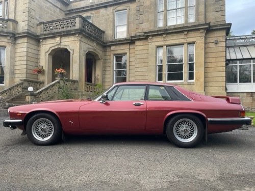1986 Jaguar Xjs 3.6