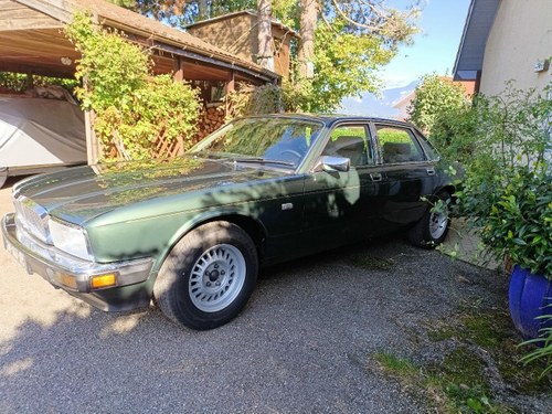 JAGUAR XJ40 3.6L Boîte mécanique - 1989 Te koop